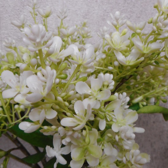 Short Stem Artificial Lilac Blossom Cream 37cm Artificial Flowers